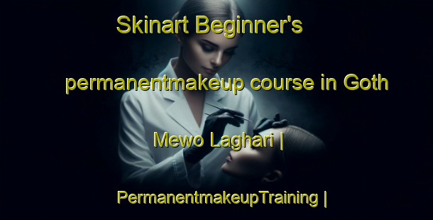 Skinart Beginner's permanentmakeup course in Goth Mewo Laghari | PermanentmakeupTraining | PermanentmakeupClasses | SkinartTraining-Pakistan